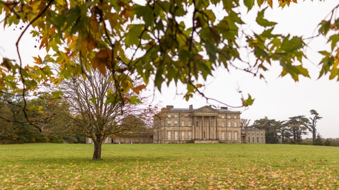 Exterior view of Mansion with autumnal tees surrounding, Attingham Park, Shropshire